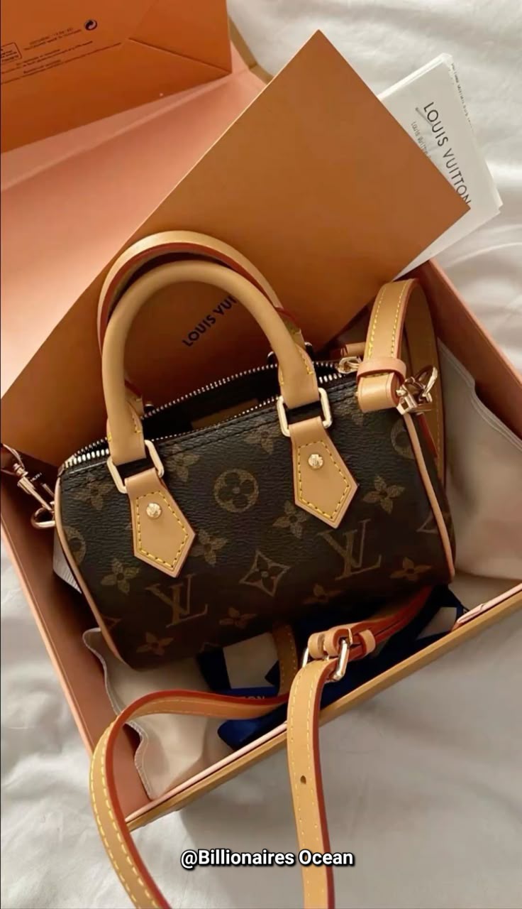 Louis Vuitton Bags