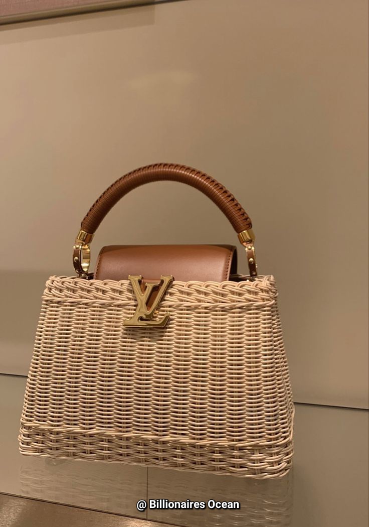Louis Vuitton Bags